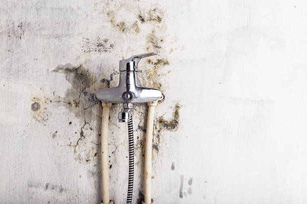 Best Emergency Mold Removal  in Mdleton, ID