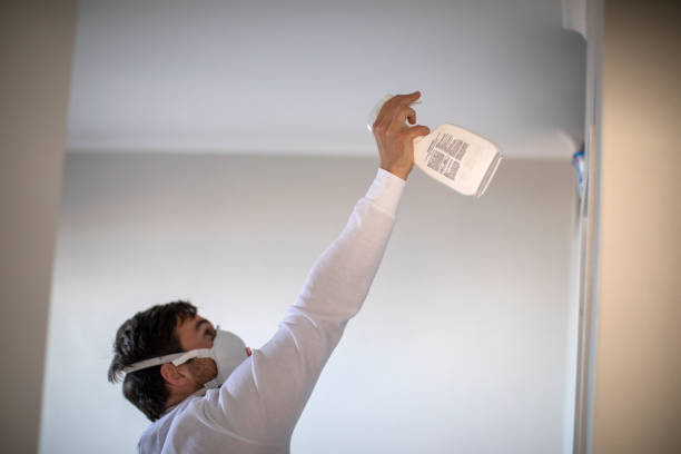 Best Fast Mold Removal  in Mdleton, ID