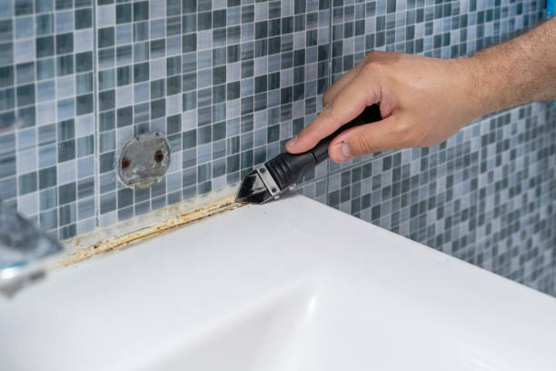 Best Toxic Mold Removal  in Mdleton, ID
