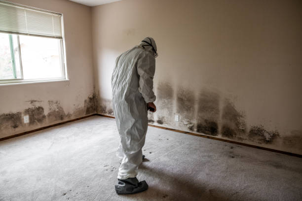 Best Crawl Space Mold Removal  in Mdleton, ID